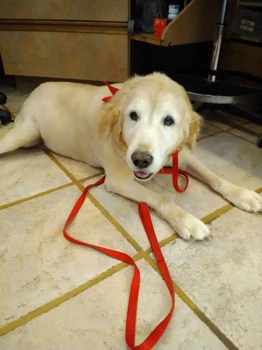 Kettering Animal Hospital Picture 4