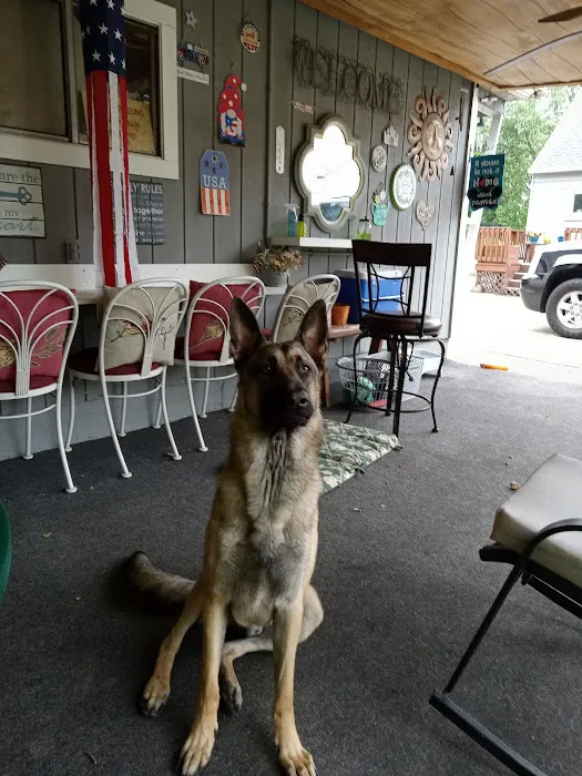 Kettering Animal Hospital Picture 5