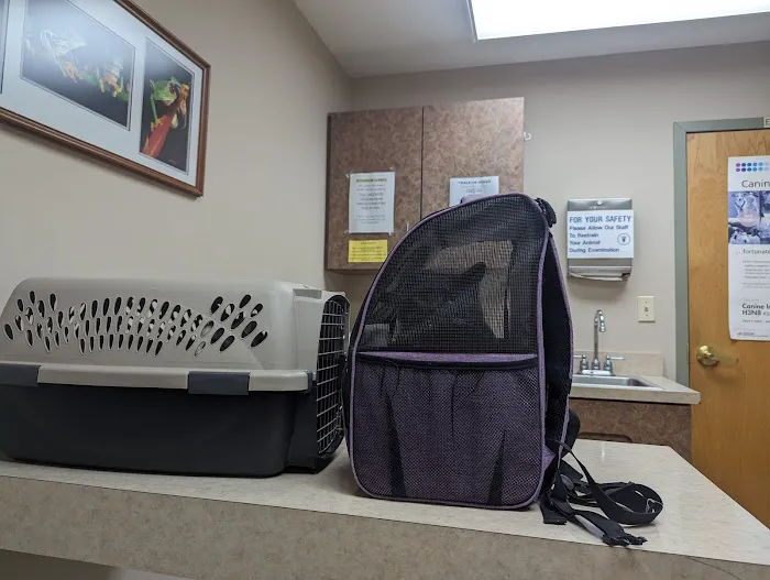 Dayton South Veterinary Clinic Picture 1