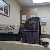 Dayton South Veterinary Clinic ico