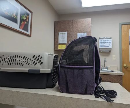 Dayton South Veterinary Clinic