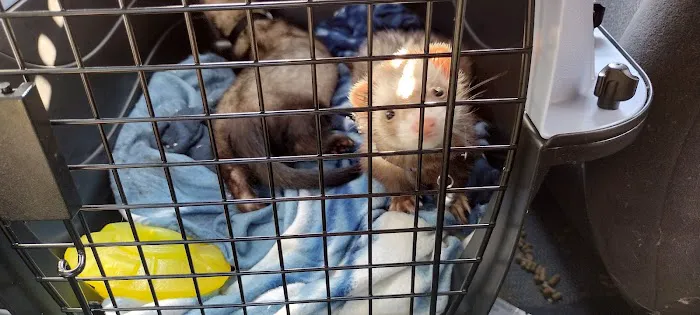 Dayton South Veterinary Clinic Picture 3