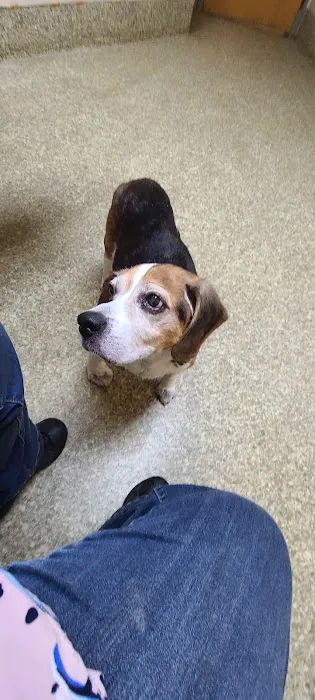 Dayton South Veterinary Clinic Picture 9