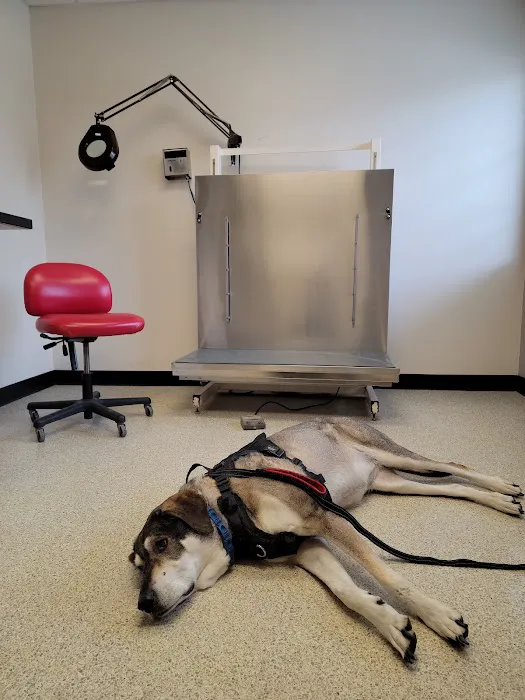 Animal MD Michelle Bahns DVM Picture 2