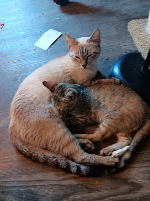 Spay Neuter Network Picture 2