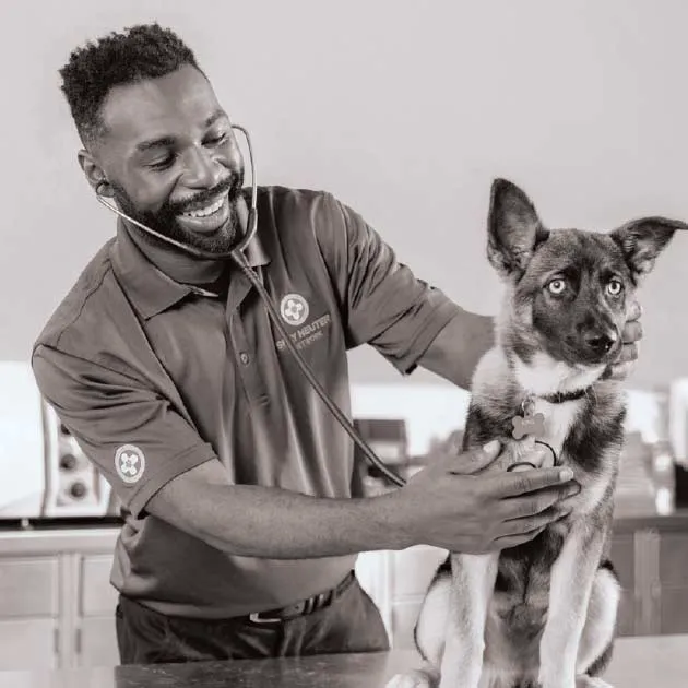 Spay Neuter Network Picture 10