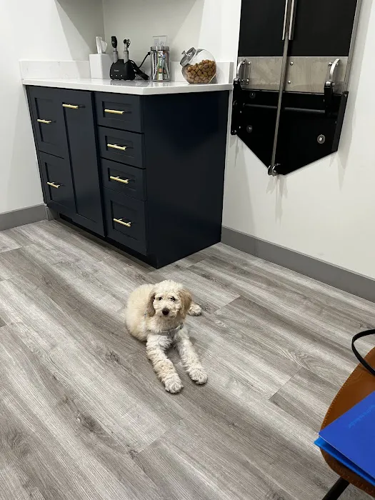 Olmos Park Animal Hospital Picture 5