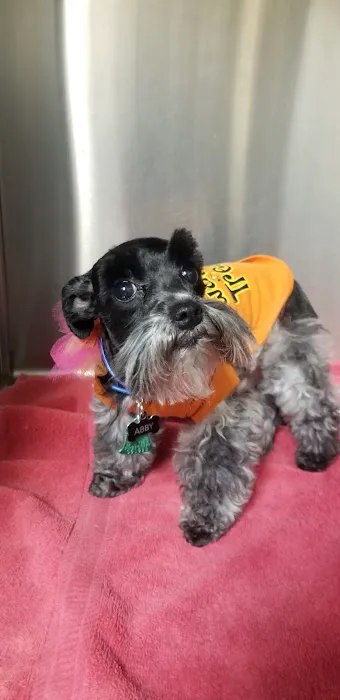 Olmos Park Animal Hospital Picture 9
