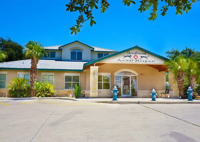 Southeast Animal Hospital Picture 3
