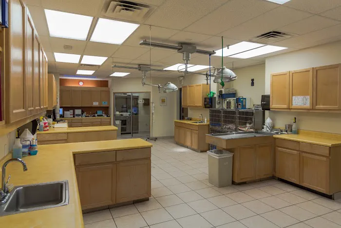 Southeast Animal Hospital Picture 4