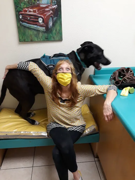 Southeast Animal Hospital Picture 5