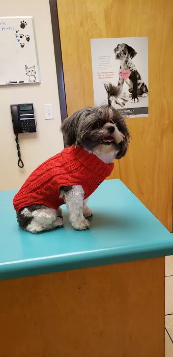 Southeast Animal Hospital Picture 8