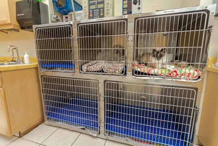 Southeast Animal Hospital Picture 6