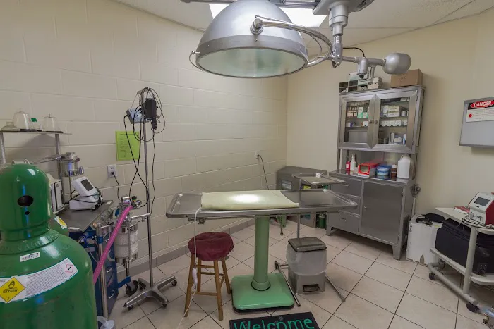 Southeast Animal Hospital Picture 10