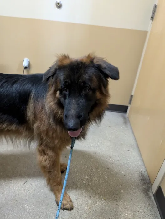 Eagle Veterinary Hospital Picture 3