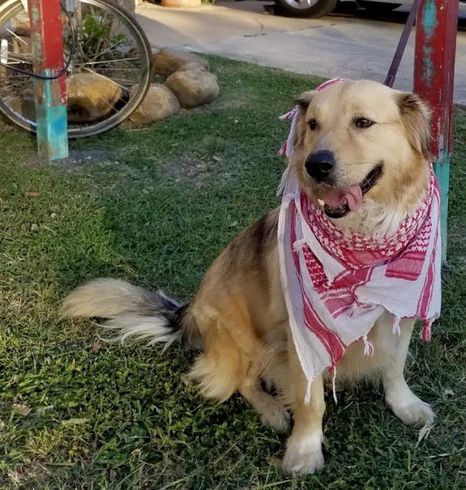 Eagle Veterinary Hospital Picture 8