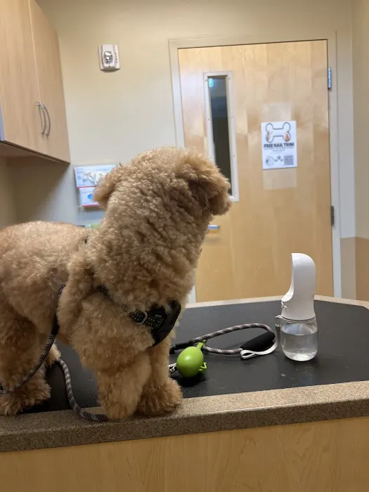 Eagle Veterinary Hospital Picture 9
