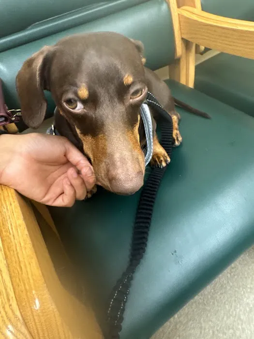 Fort Sam Houston Veterinary Clinic Picture 2