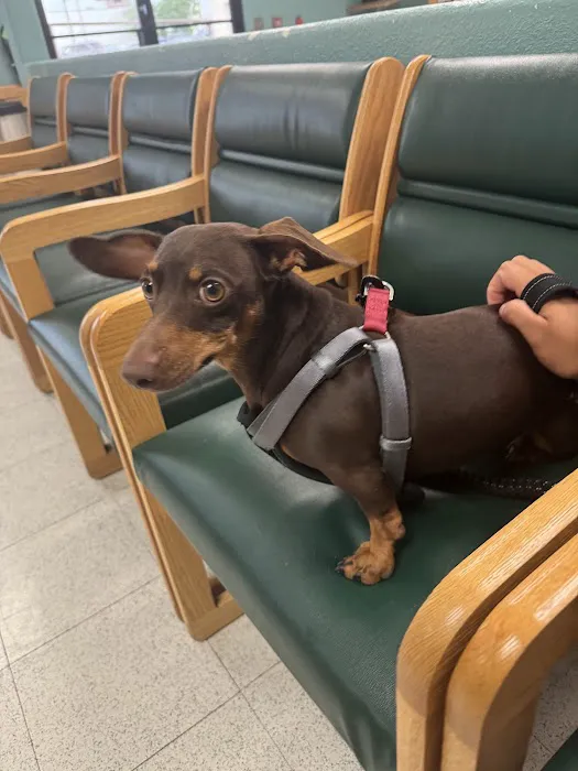 Fort Sam Houston Veterinary Clinic Picture 3