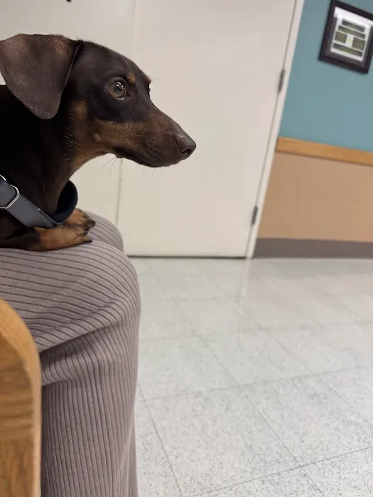 Fort Sam Houston Veterinary Clinic Picture 1