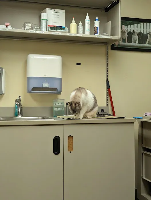 Fort Sam Houston Veterinary Clinic Picture 9