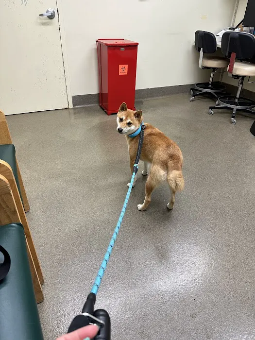 Fort Sam Houston Veterinary Clinic Picture 8