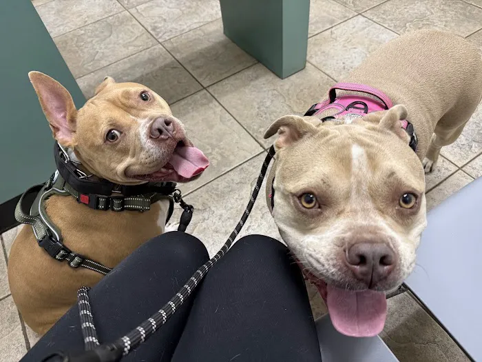 Alamo Dog & Cat Hospital Picture 5