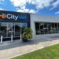 CityVet | Alamo Heights Veterinary Clinic & Urgent Care ico