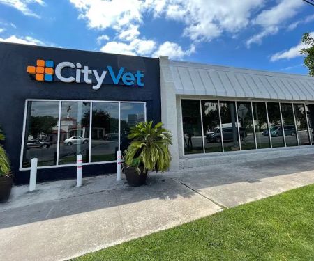 CityVet | Alamo Heights Veterinary Clinic & Urgent Care