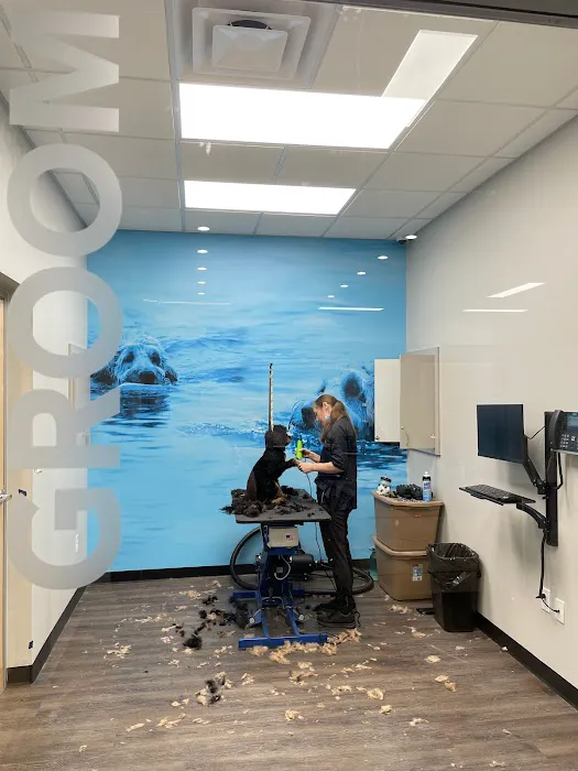 CityVet | Alamo Heights Veterinary Clinic & Urgent Care Picture 2
