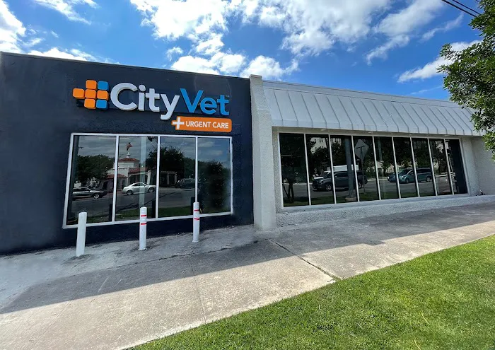 CityVet | Alamo Heights Veterinary Clinic & Urgent Care Picture 3