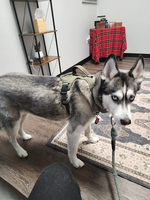 CityVet | Alamo Heights Veterinary Clinic & Urgent Care Picture 5
