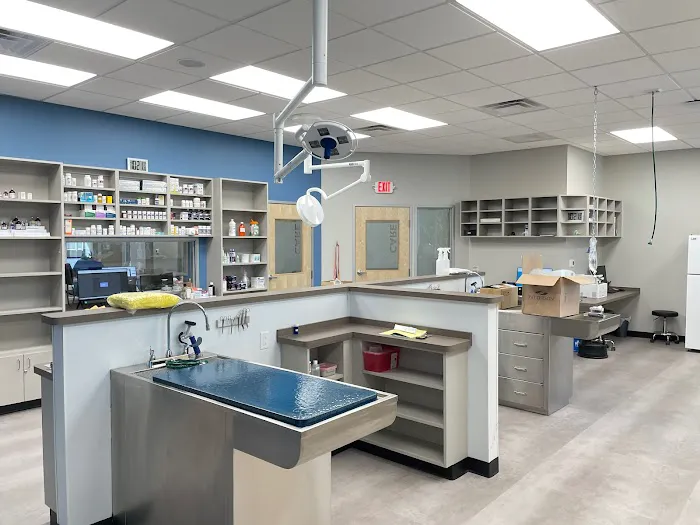 CityVet | Alamo Heights Veterinary Clinic & Urgent Care Picture 6
