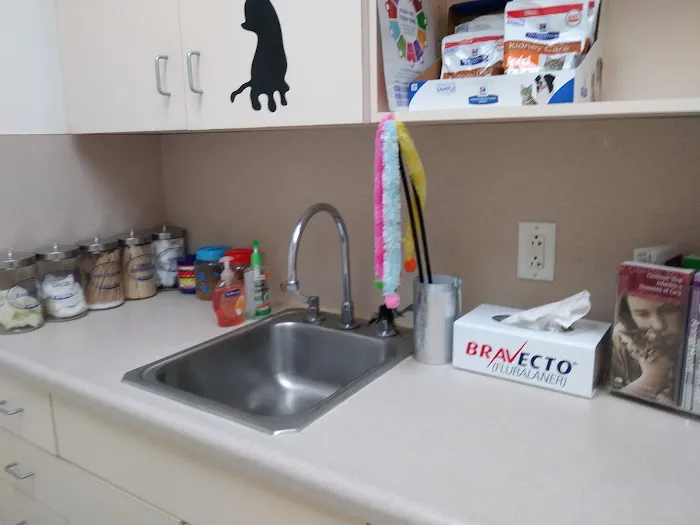Texas Veterinary Hospital Picture 8