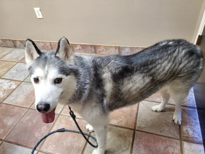 A Pet's Choice Veterinary Care, A Thrive Pet Healthcare Partner Picture 8