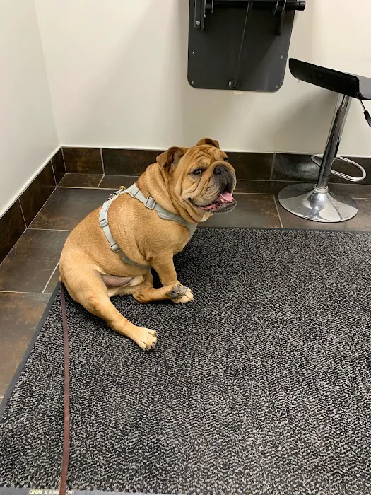 City Way Animal Clinics - Mass Ave Picture 2