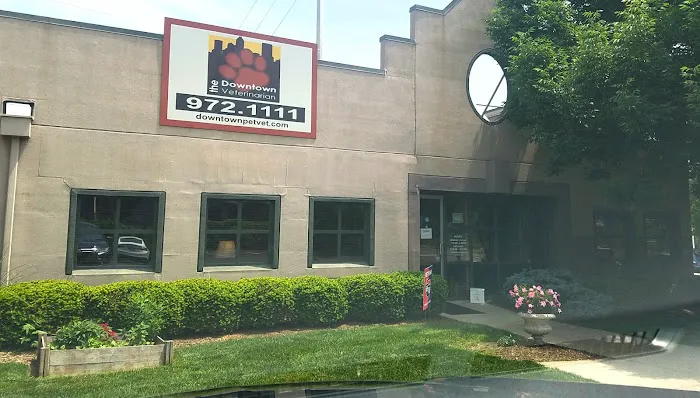 The Downtown Veterinarian Picture 3