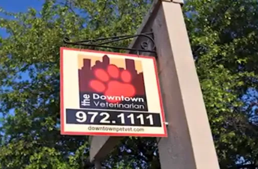 The Downtown Veterinarian Picture 10