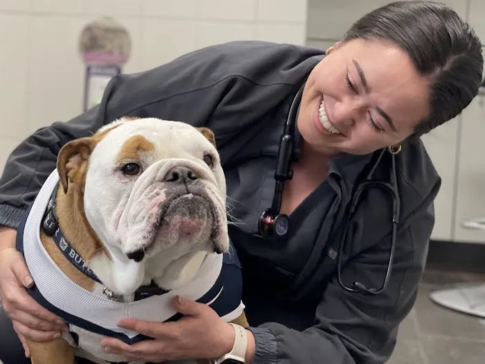 City Way Animal Clinics - Fountain Square Picture 9
