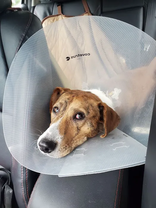 IndyHumane Downtown Clinic Picture 2