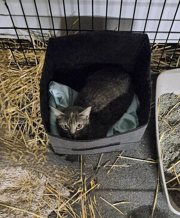 IndyHumane Downtown Clinic Picture 7