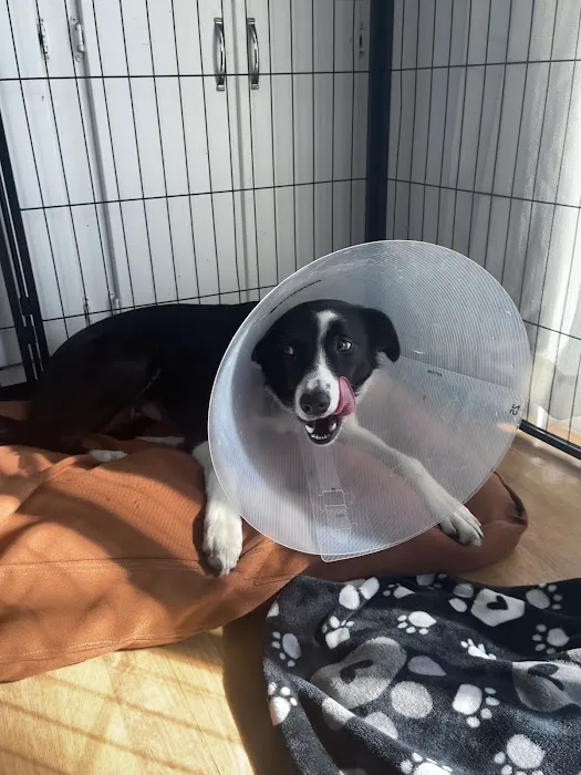 IndyHumane Downtown Clinic Picture 10