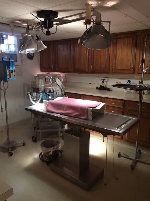 Churchman Animal Hospital Picture 3