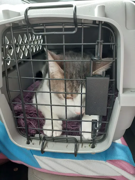 Churchman Animal Hospital Picture 6