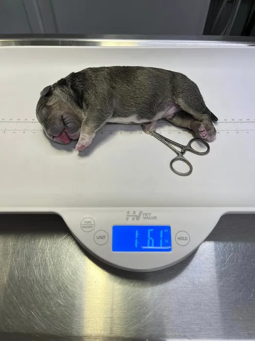 Lafayette Road Veterinary Hospital Picture 1