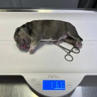 Lafayette Road Veterinary Hospital ico