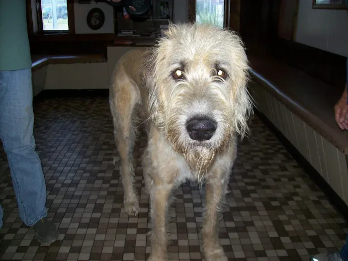Lafayette Road Veterinary Hospital Picture 7