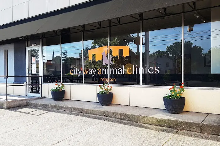 City Way Animal Clinics - Irvington Picture 3