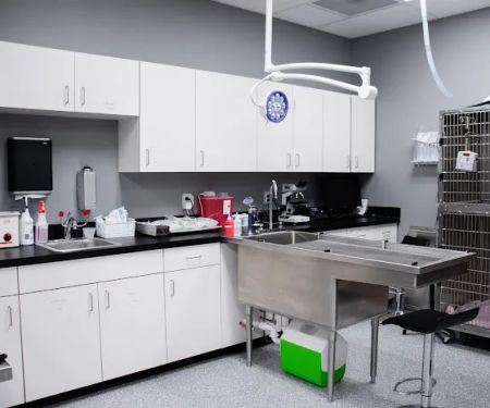City Way Animal Clinics - Irvington