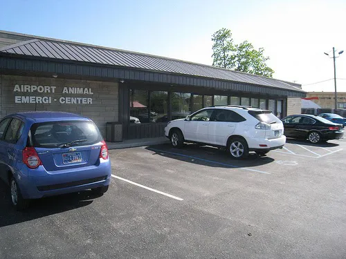Airport Animal Emergi-Center Picture 6